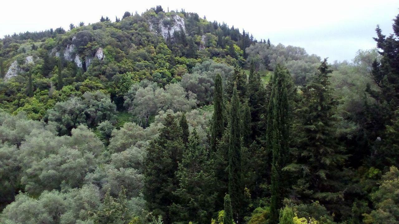 DafnátaKostas Walkers Point住宿加早餐旅馆 外观 照片
