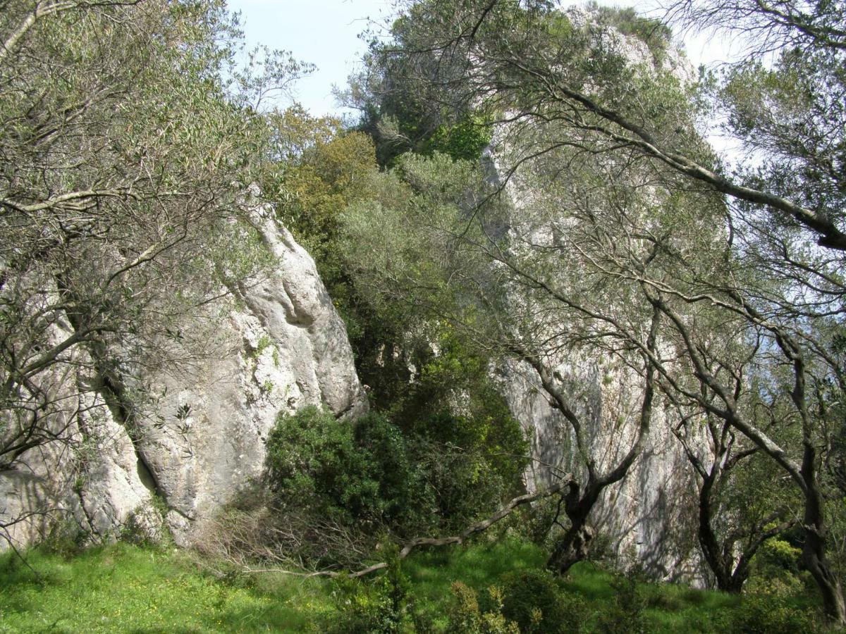 DafnátaKostas Walkers Point住宿加早餐旅馆 外观 照片